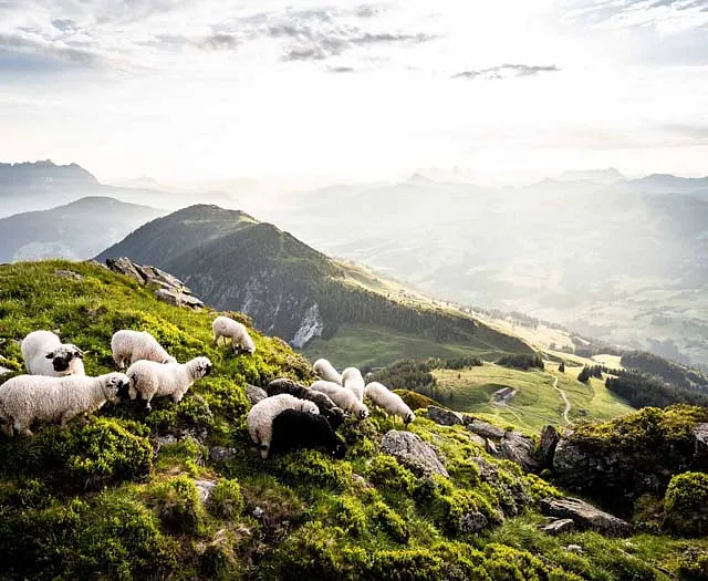 Berglandschaft