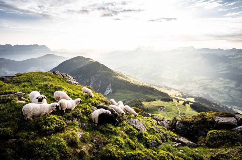 Berglandschaft