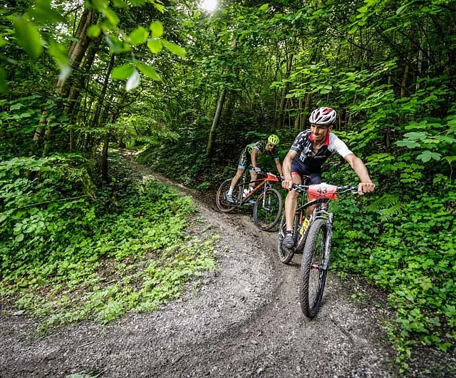 Mountainbiker